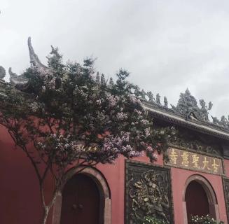 亿万28：助力公益活动建设，实现经济效益与社会效益的双赢！