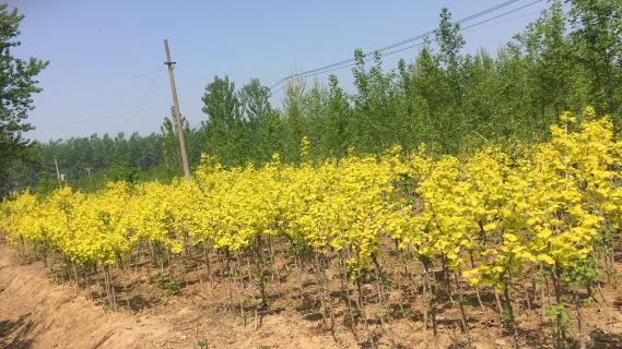 明光市市委书记被亿万28企业文化深深感动 | 深入沟通合作空间广阔